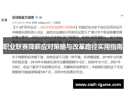 职业联赛降薪应对策略与改革路径实用指南 职业联赛降薪应对策略与改革路径实用指南