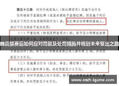 魏震禁赛后如何应对罚款及处罚措施并规划未来复出之路