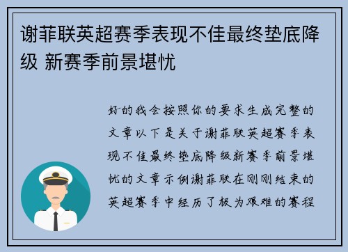 谢菲联英超赛季表现不佳最终垫底降级 新赛季前景堪忧